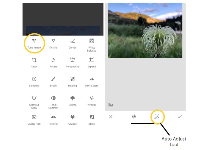 Interface principal do aplicativo Snapseed